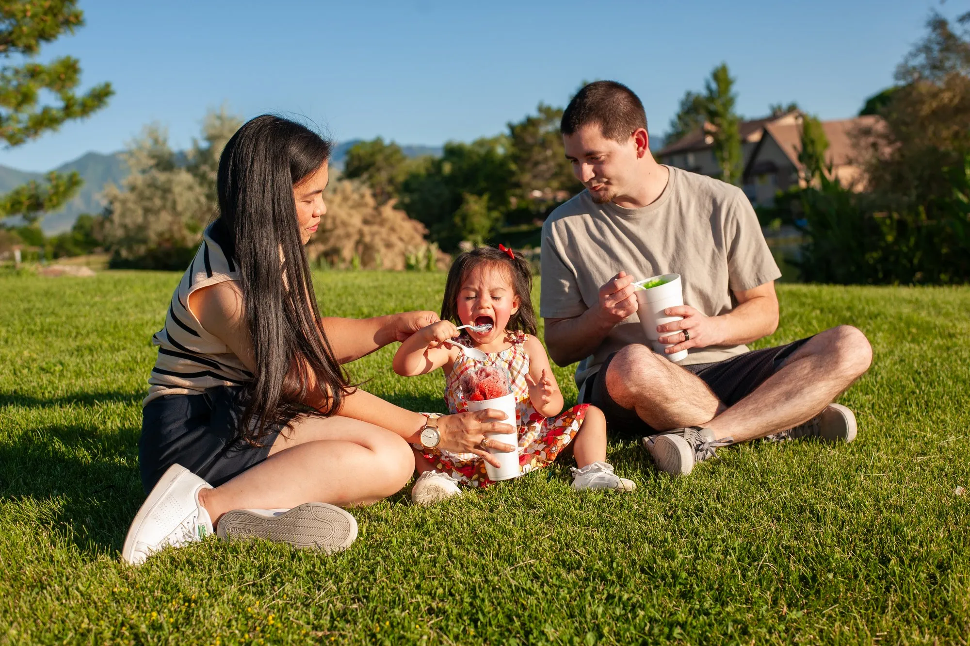 Family sitting on the lawn sharing ice cream and laughing